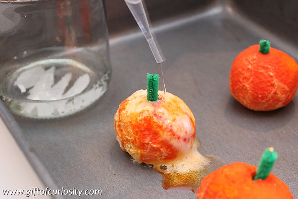 easy pumpkin science experiment for preschool