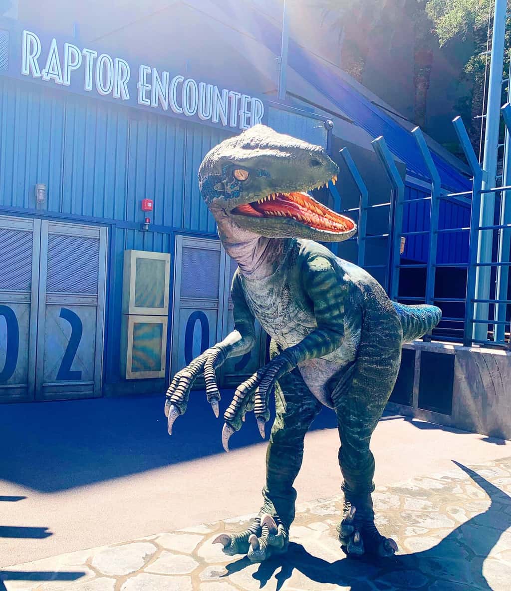 Raptor Encounter Universal Studios Hollywood