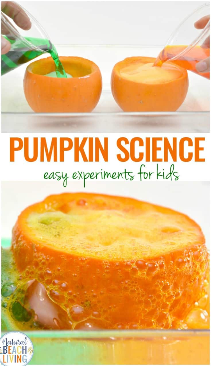 Easy pumpkin science experiment for kids.