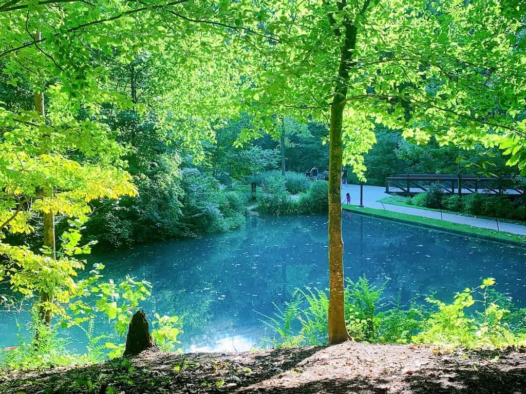 Crystal Bridges Trails