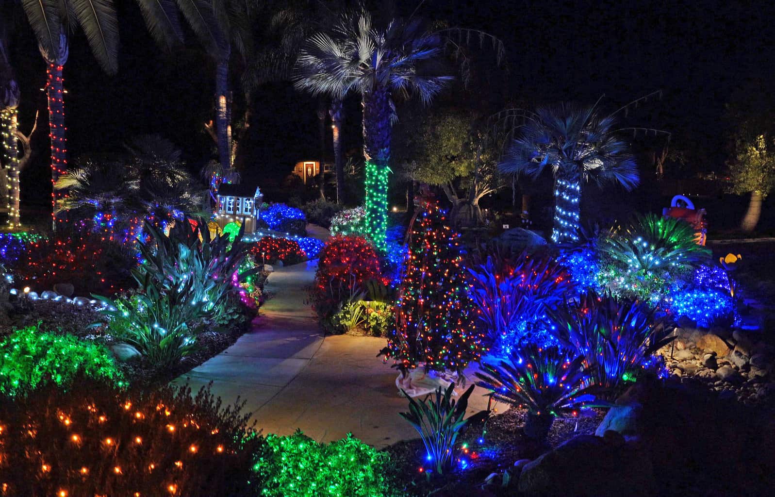 Best Christmas Lights in San Diego