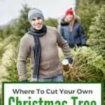Are you searching for that perfect Christmas tree? Check out this list of 15+ Places to Cut Your Own Christmas Tree in Southern California! From Santa Barbara to San Diego and everywhere in between, there is at least one Christmas tree farm within an hour's drive of your home.