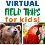 101 Virtual Fields Trips For Homeschoolers