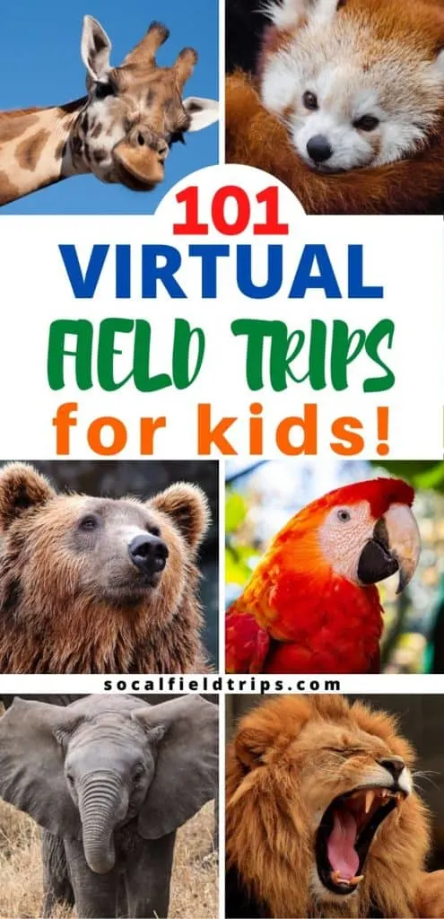 101 Virtual Field Trips To Take With Your Kids Socal Field Trips