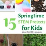 These 15 Spring STEM Activities For Kids will keep little scientists engaged, learning and well-prepared for the 21st century!