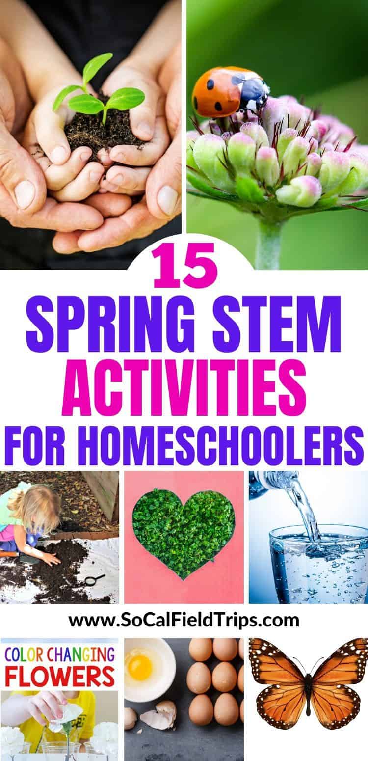 15 Spring STEM Activities For Homeschoolers SoCal Field Trips