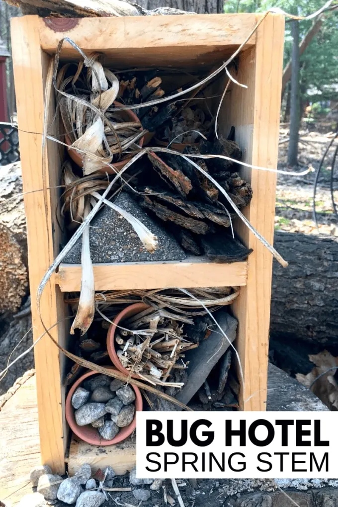 Bug Hotel Spring STEM project