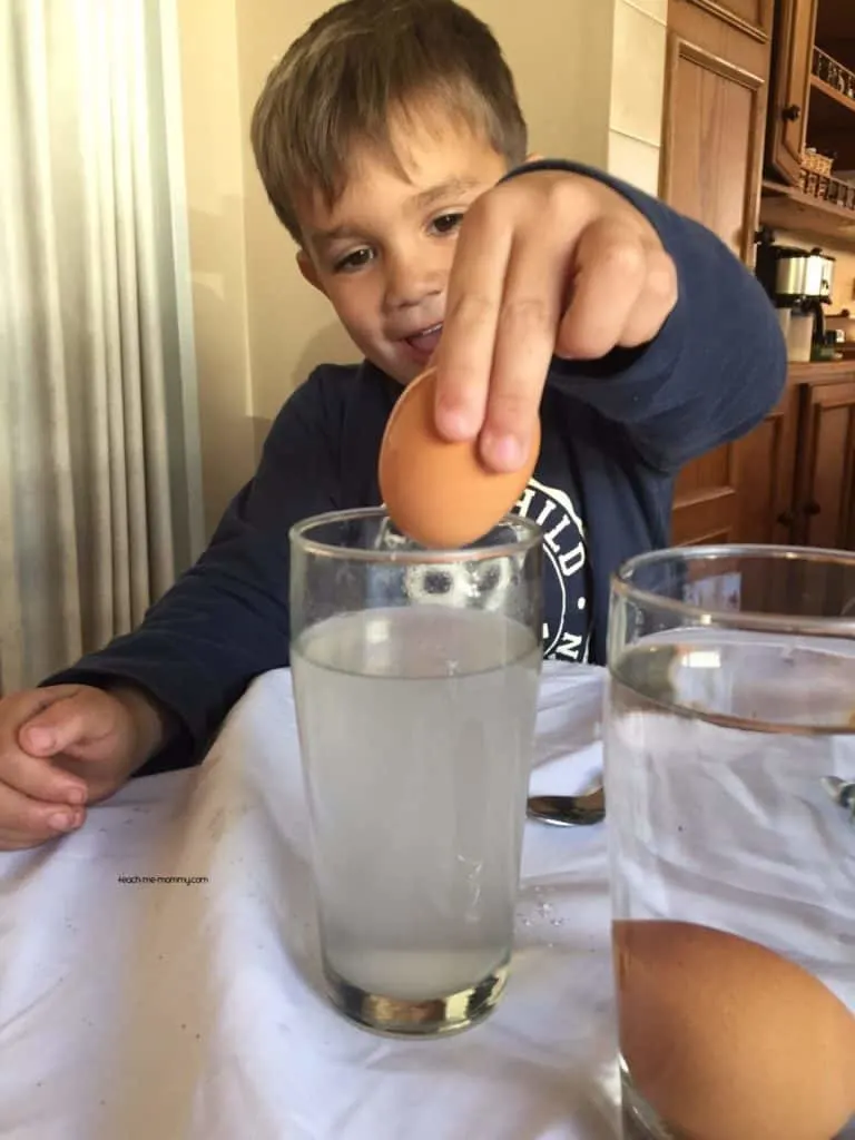 Floating egg science experiment for kids