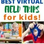 Virtual field trips bring text books to life!  Instead of reading about The Leaning Tower of Pisa, you can take a 360 degree panoramic tour of it. Climb Mount Everest - virtually! Watch adorable sea lions play at the aquarium on a webcam. The opportunities for virtual learning are endless!