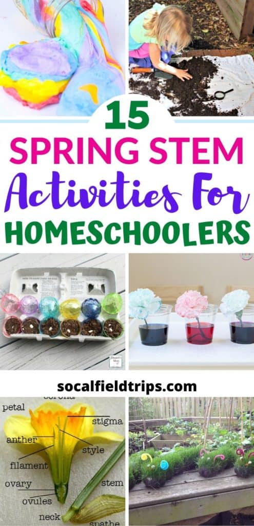 15 Spring STEM Activities For Homeschoolers
