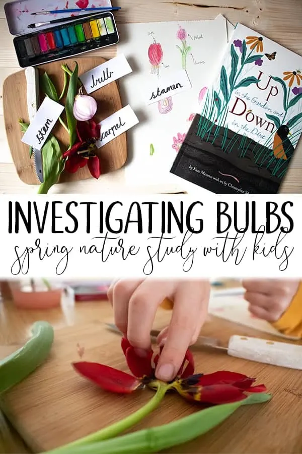 Investigating flower bulbs nature study for homeschoolers
