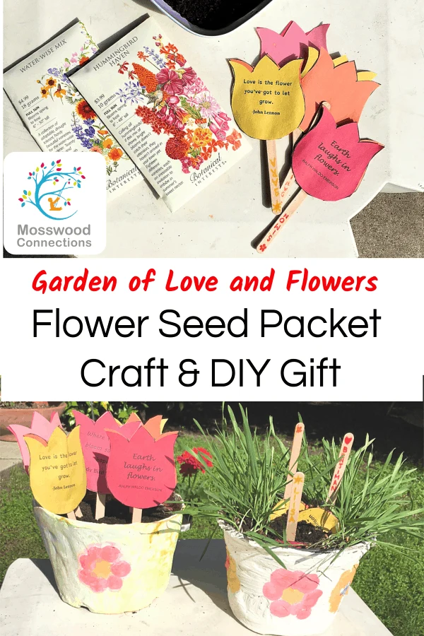 Preschool Seed Packet Craft