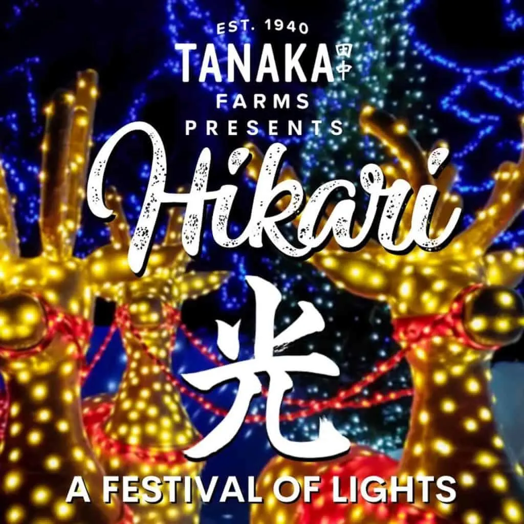 Hikari Tanaka Farms Drive Thru Holiday Lights Show