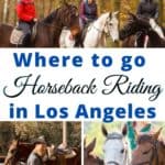 There are numerous horse ranches in and around Los Angeles that provide guided trail rides and horse rentals. So, check out this list of where to go horseback riding in Los Angeles!