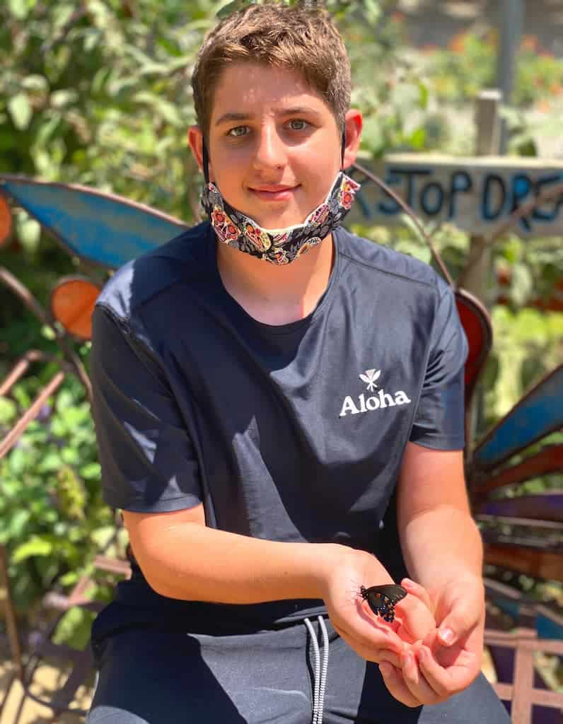 Boy holding butterflies in San Diego