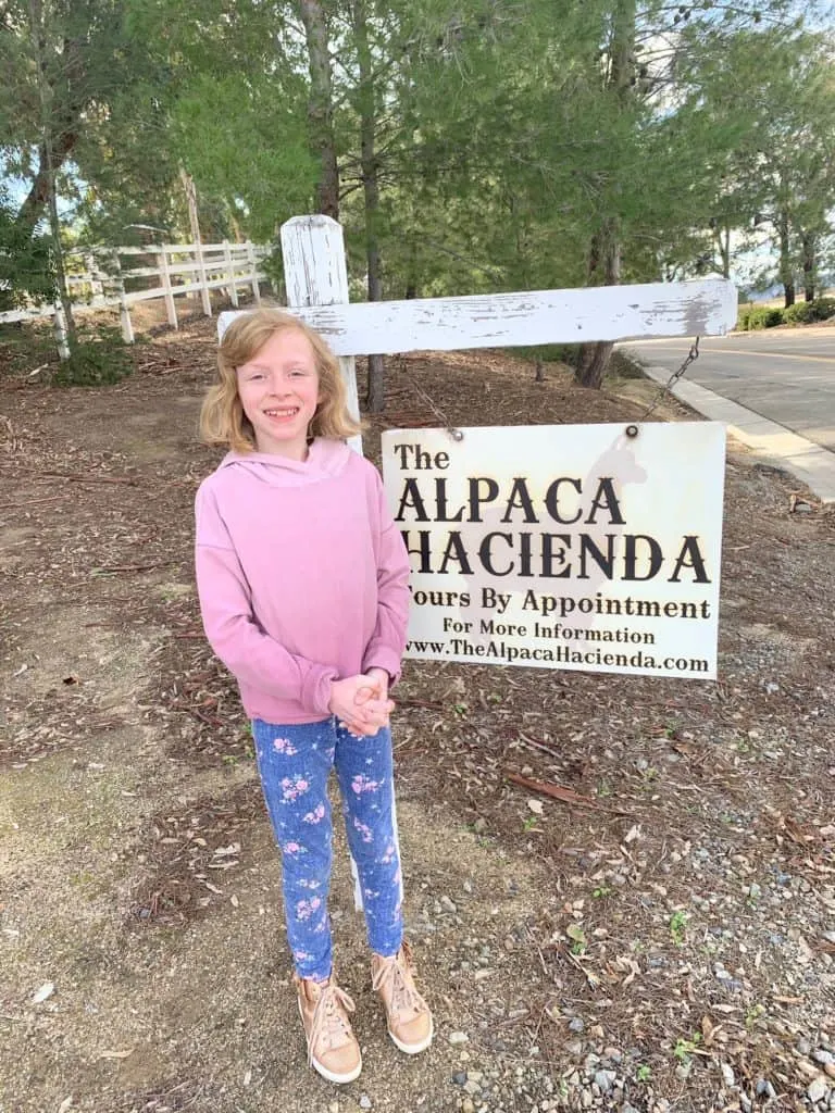 Alpaca Farm in The Inland Empire