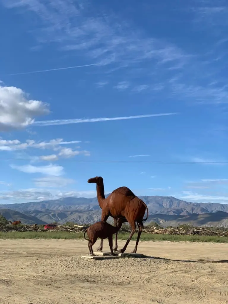 Camel Metal Sculpture Anza Borrego Springs Desert