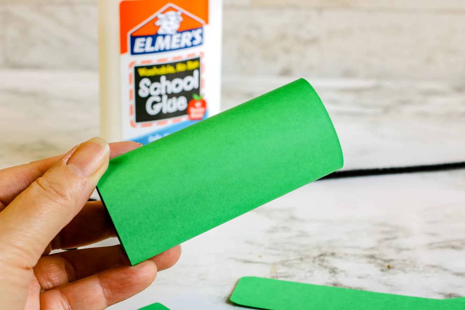 Toilet Paper Roll Craft