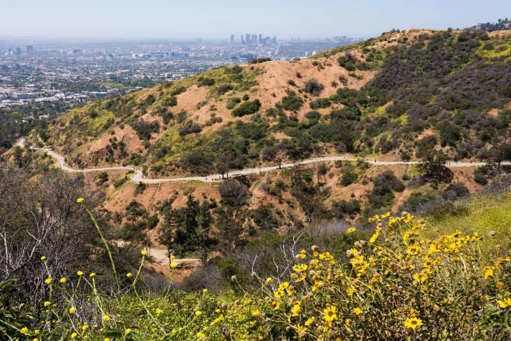 Best Hikes in Los Angeles