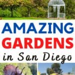 When you think of San Diego, many people automatically dream of heading to the beach and enjoying time in the sun and water. However, San Diego is home to amazing botanical gardens that invite people of all ages to enjoy time outdoors and take in the senses and fragrances that come with strolling through fresh flowers and plant gardens. So, check out this list of the 10 Best Botanical Gardens in San Diego to visit!