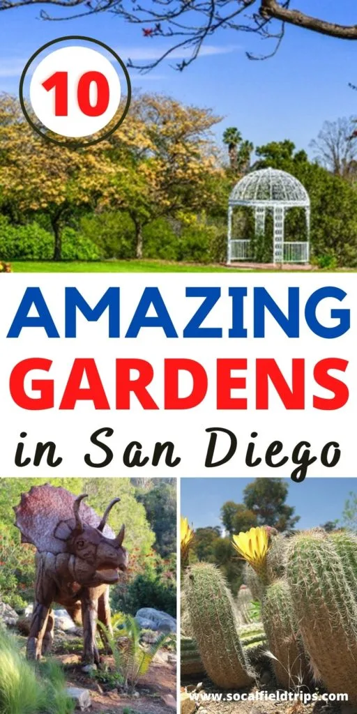 When you think of San Diego, many people automatically dream of heading to the beach and enjoying time in the sun and water. However, San Diego is home to amazing botanical gardens that invite people of all ages to enjoy time outdoors and take in the senses and fragrances that come with strolling through fresh flowers and plant gardens. So, check out this list of the 10 Best Botanical Gardens in San Diego to visit!