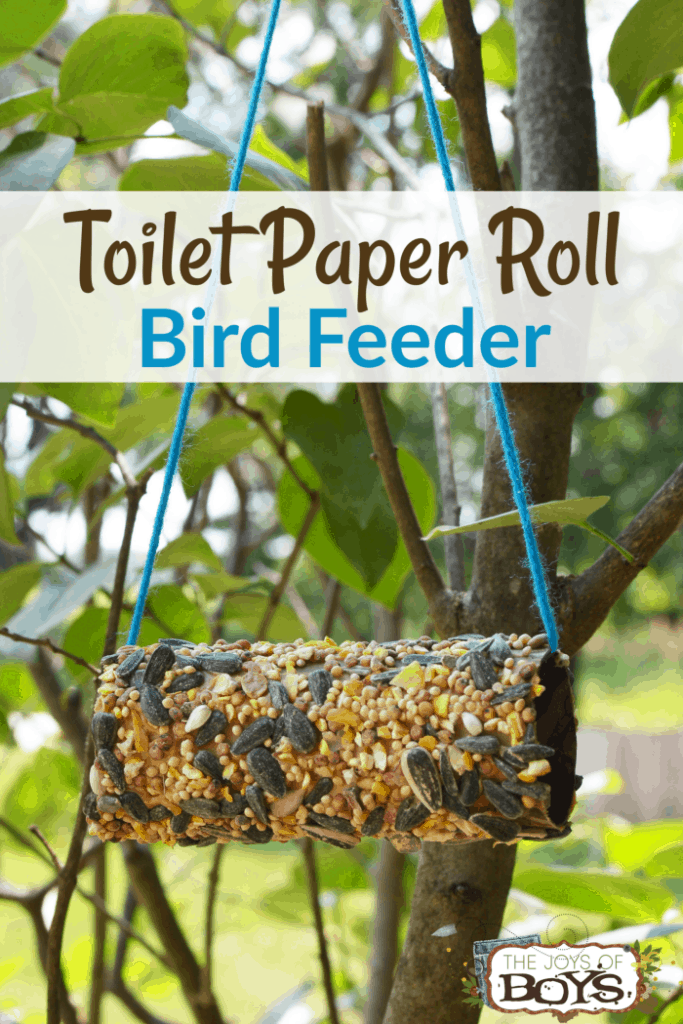 Toilet Paper Roll Bird Feeder
