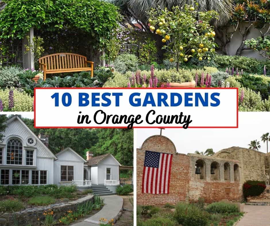 10 Botanical Gardens In Orange County To Explore Today Socal Field Trips - Gardens In Orange County Ca