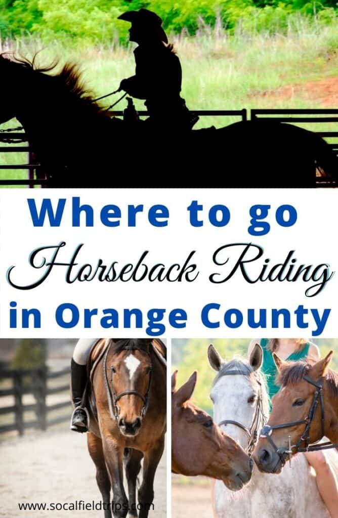 Head out to a horse stable for fun horseback riding experience. Orange County, California has a bevy of horseback riding opportunities. So here's a look at 10 outstanding locations to go horseback riding in Orange County!