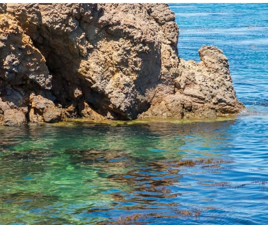 Best Tide Pools in Orange County