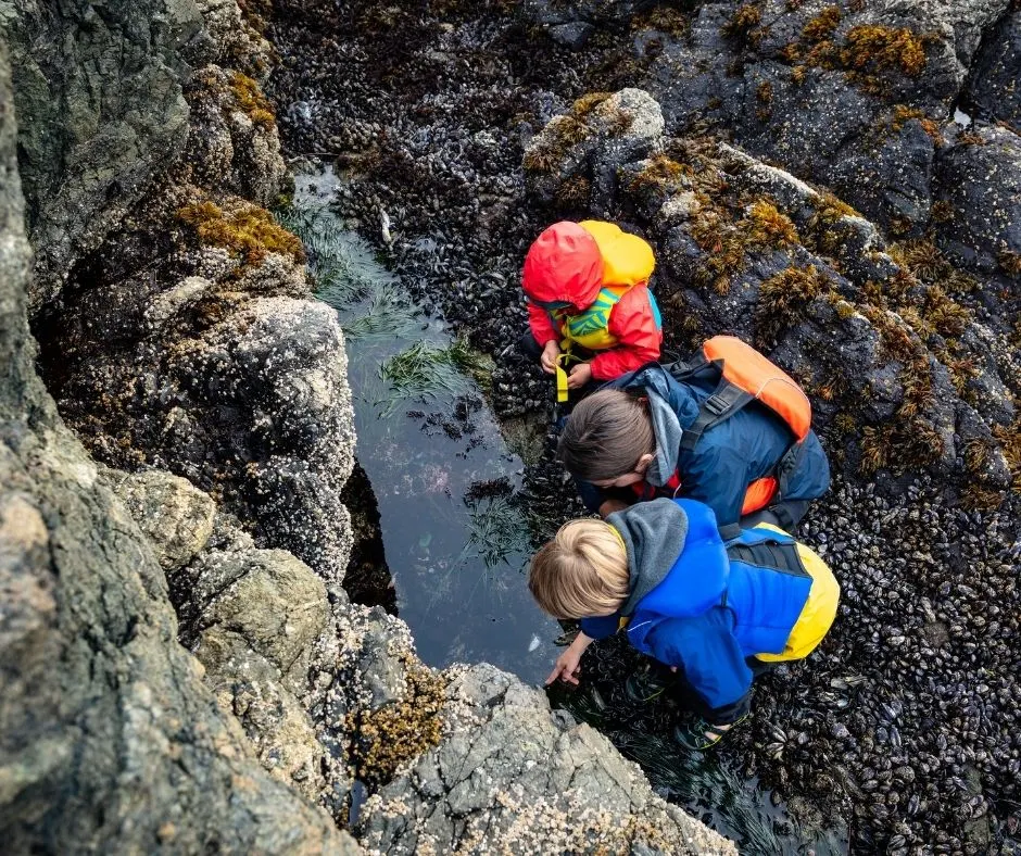 Best Tide Pools in Orange County