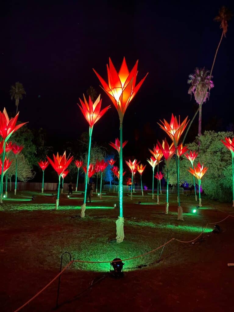 Lightscape at the LA Arboretum