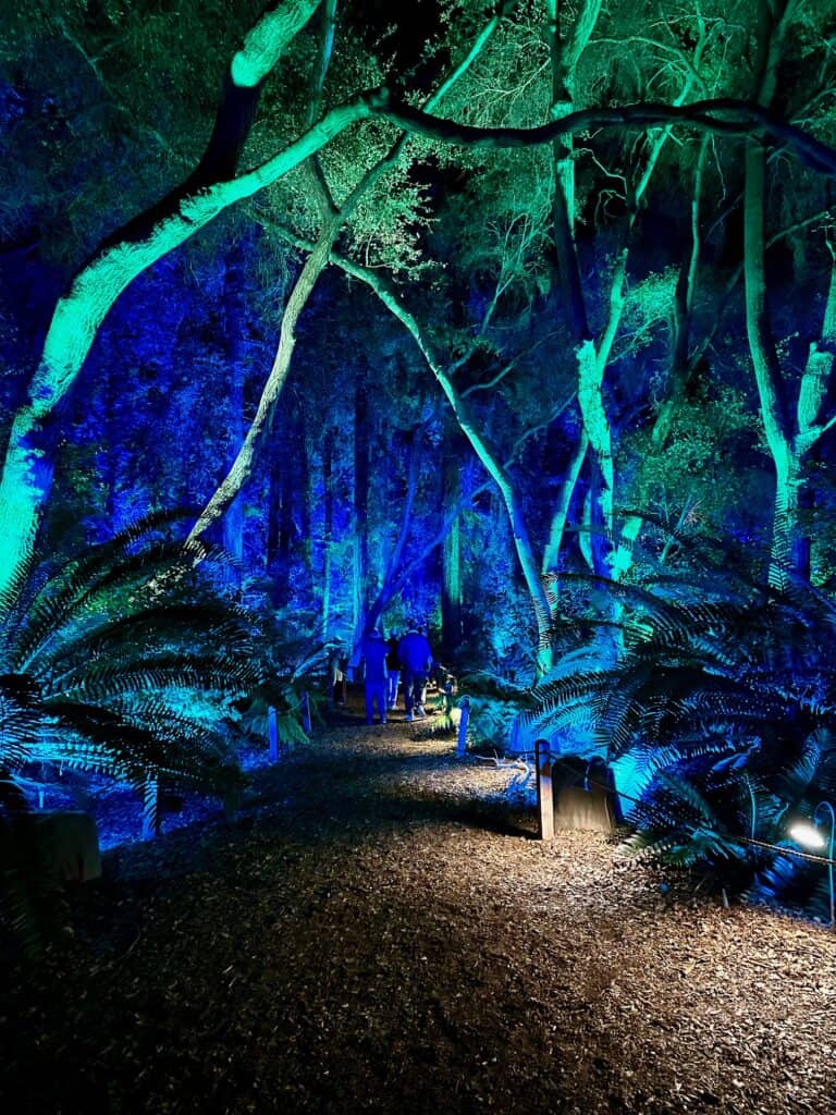 Tickets to Enchanted Forest of Light