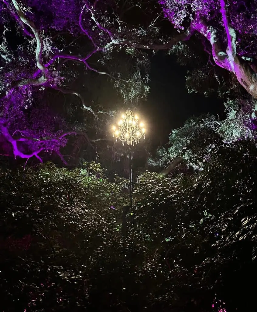 How to get tickets to Enchanted Forest of Lights at Descanso Gardens
