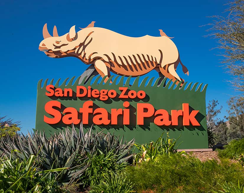 Best Zoos in San Diego