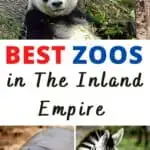 With life as we know it back in full swing, these five zoos in the Inland Empire are open for the public to enjoy! The animals were cared for throughout 2020 and are anxious for visitors to come back to see them. Below are five zoos and wildlife sanctuaries in Riverside and San Bernardino Counties where you can meet new species and visit old friends you missed across the area!